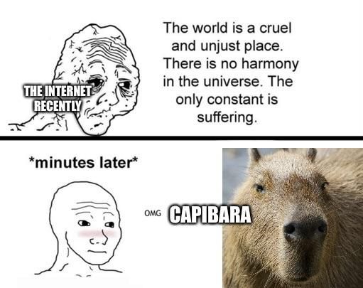 Is Capibara edible?
