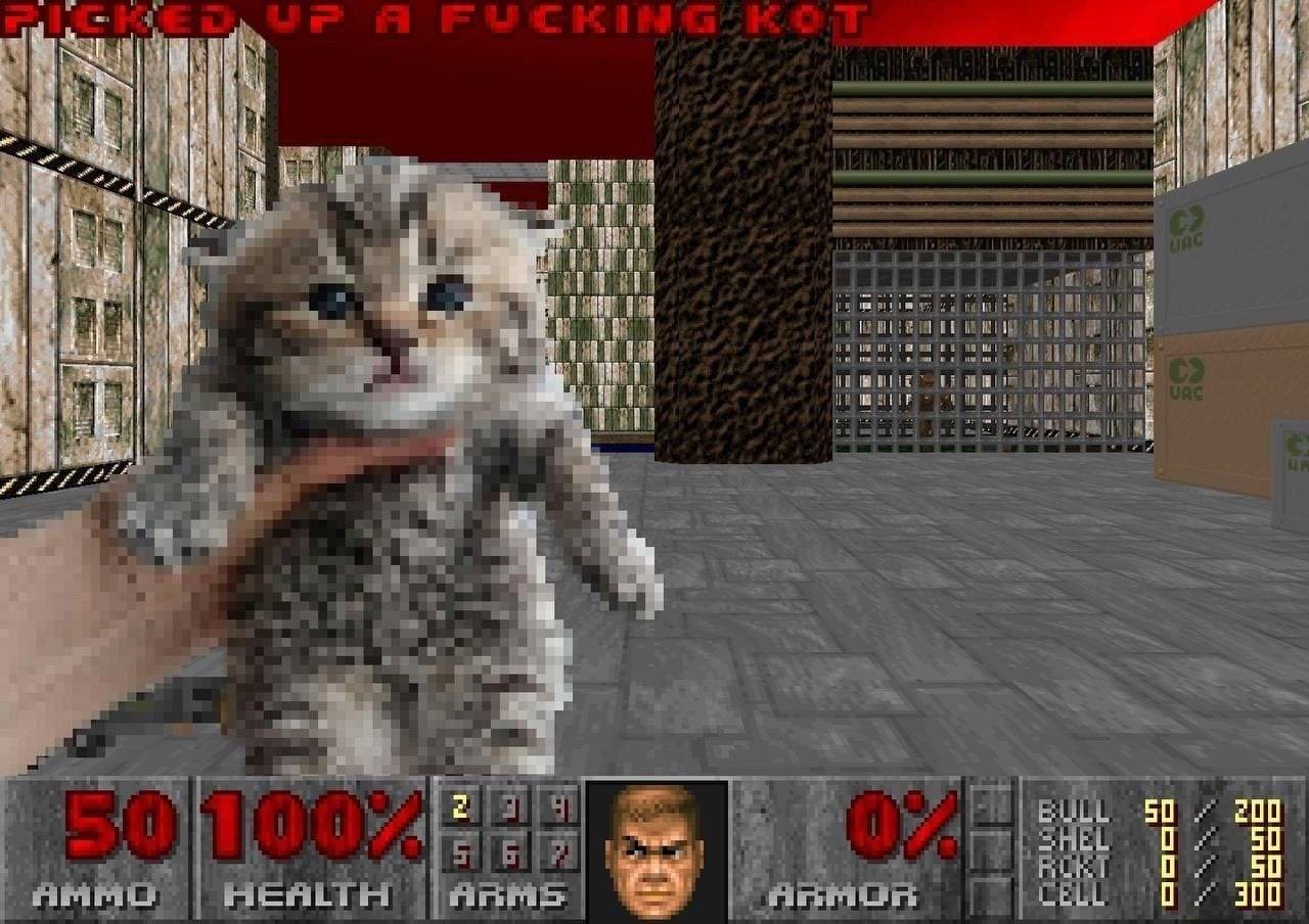 kot