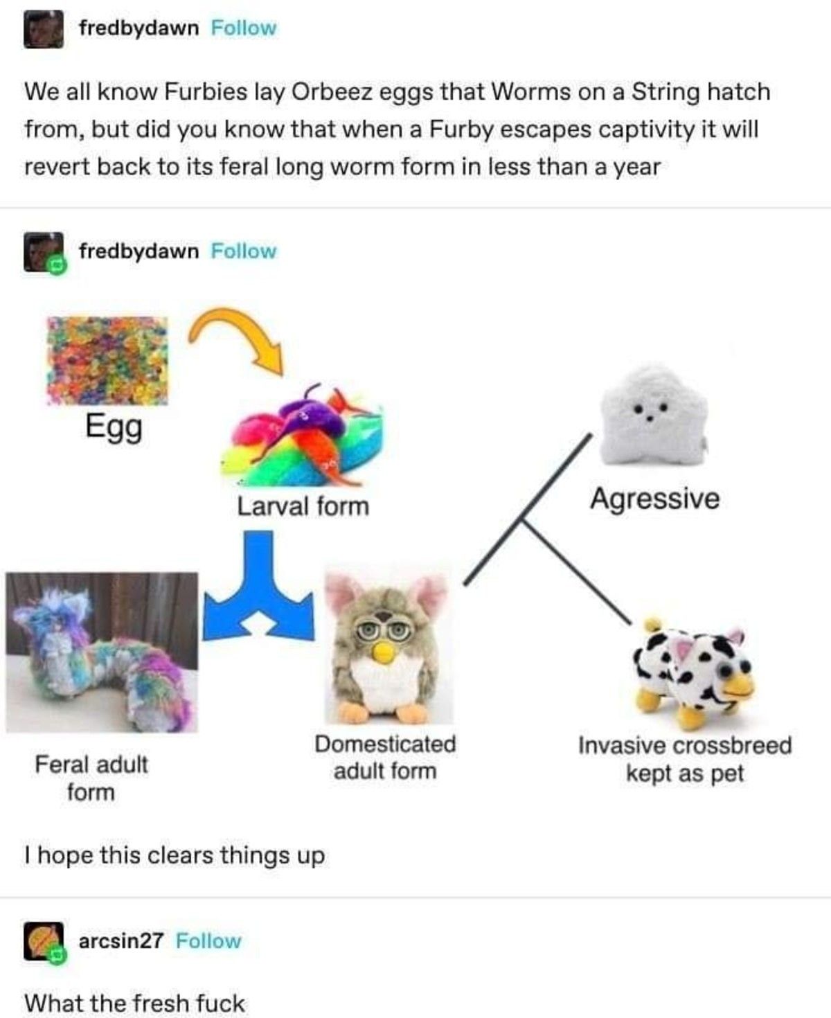 I never trusted those furry little shits