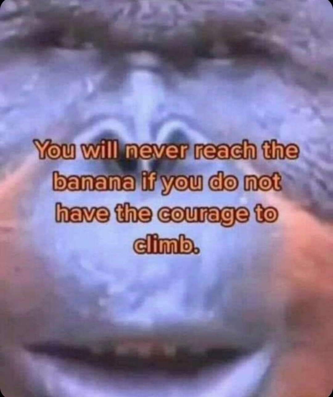 Wisdom time