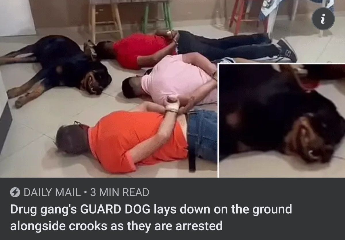 he's doing his part