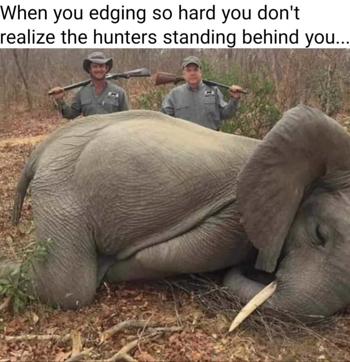 edging
