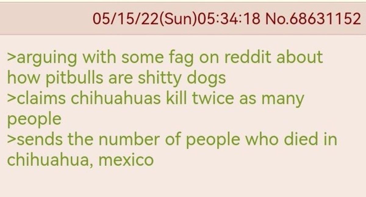 dogs