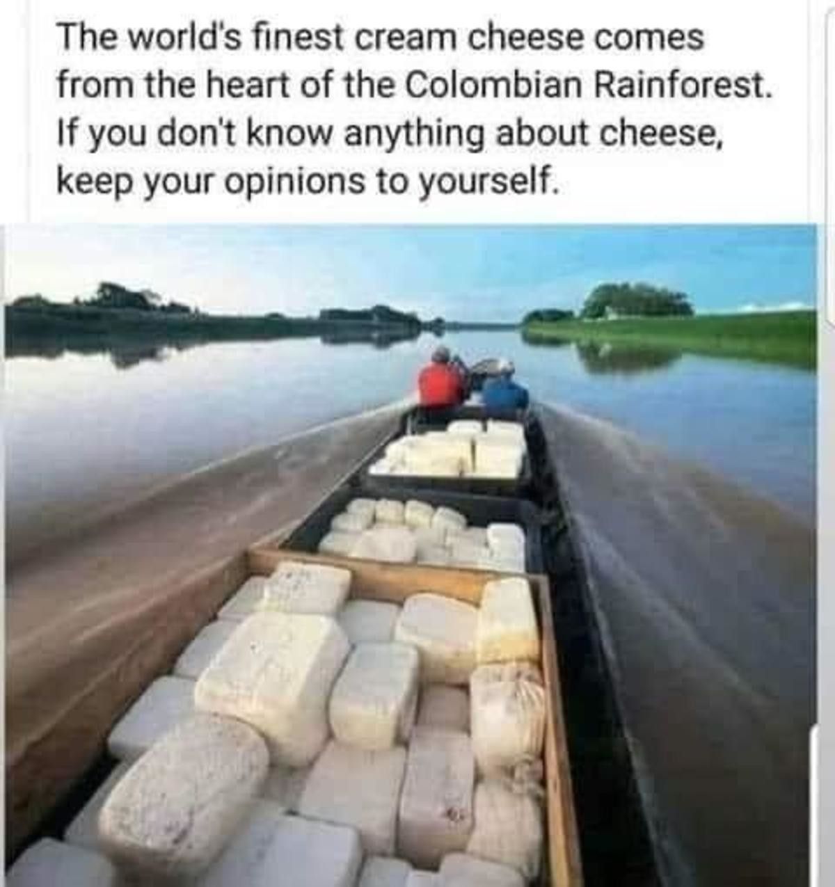 cheese