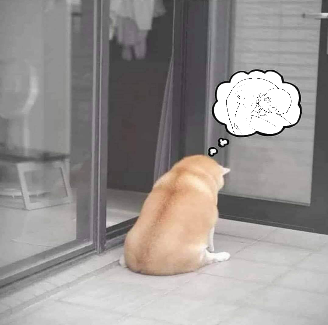Dreams