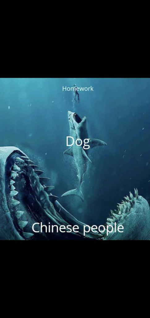 Always a bigger fish