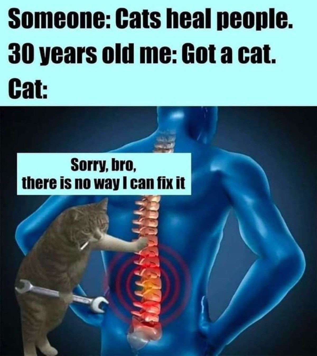 dudders can't fix it