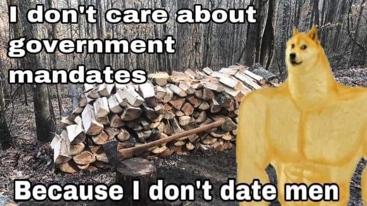 no homo