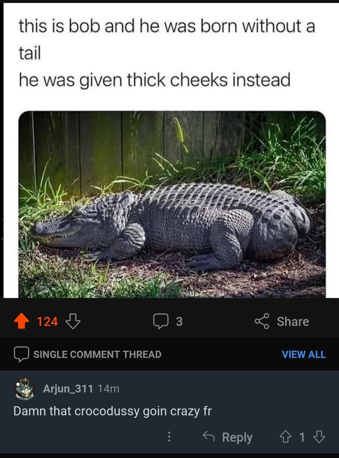 This time, the crocodussy be eating you