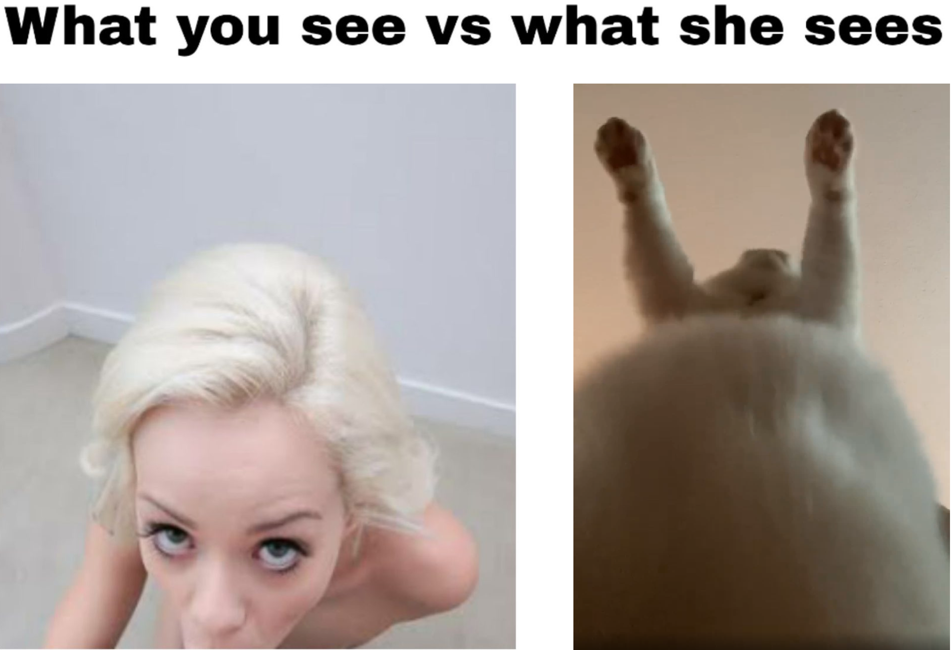 don't have a title for that one