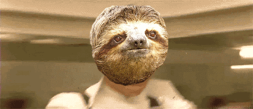 Jack Sloth