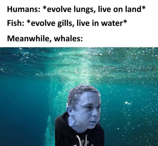 This also is probably a repost