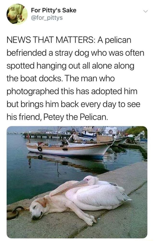 wholesome