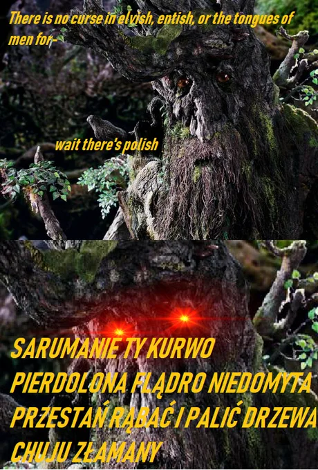 Saruman kurwo jebana przestań mi kurwo enty prześladować pedale Mordorski w dupę jebany ty
