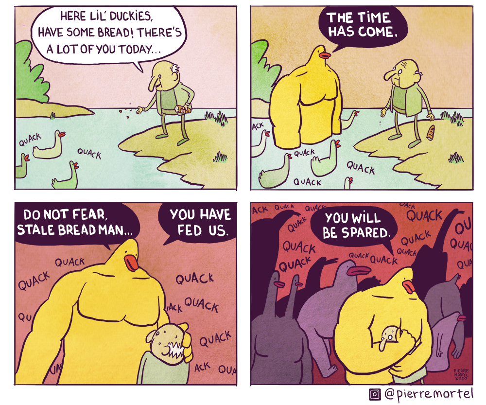 Don't feed stale bread to ducks though