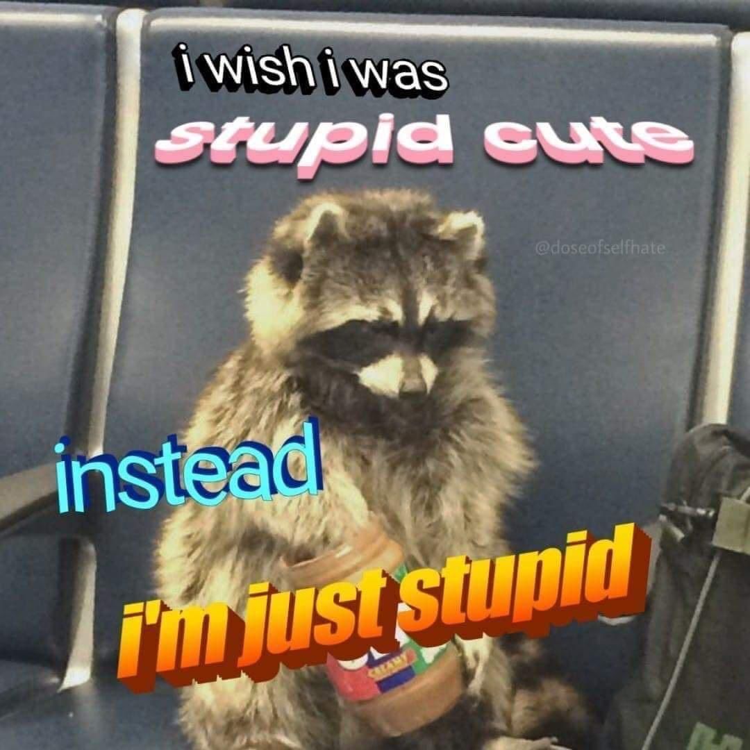 Plain stupid