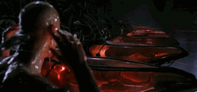 Slov browsing hugelol after leaving