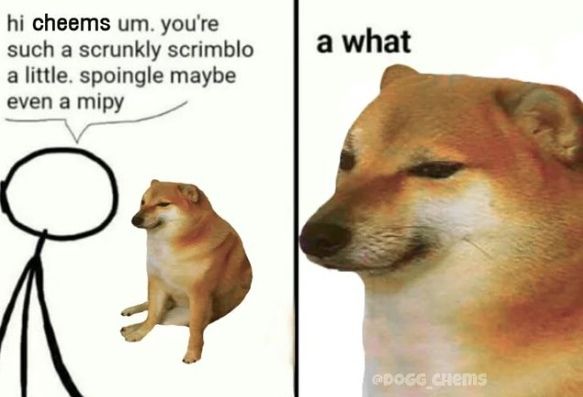 dog