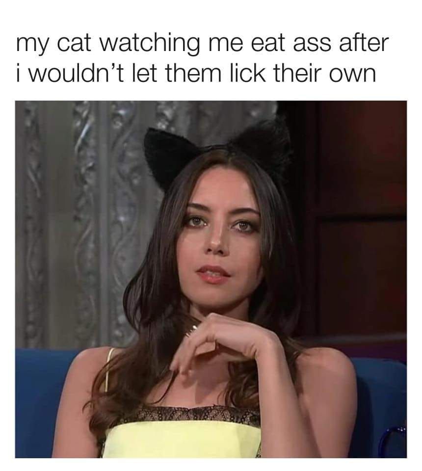 been there brehs but it was her cat