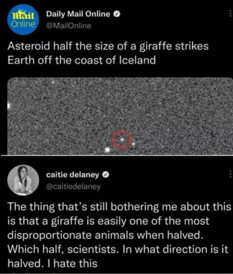 Asteroid Half The Size