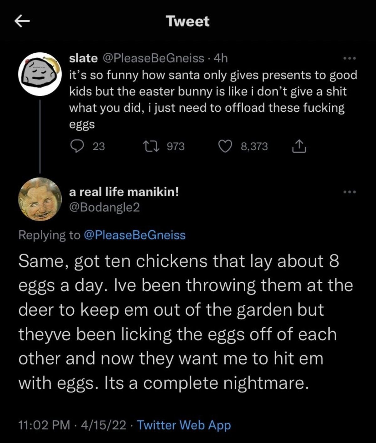 eggs