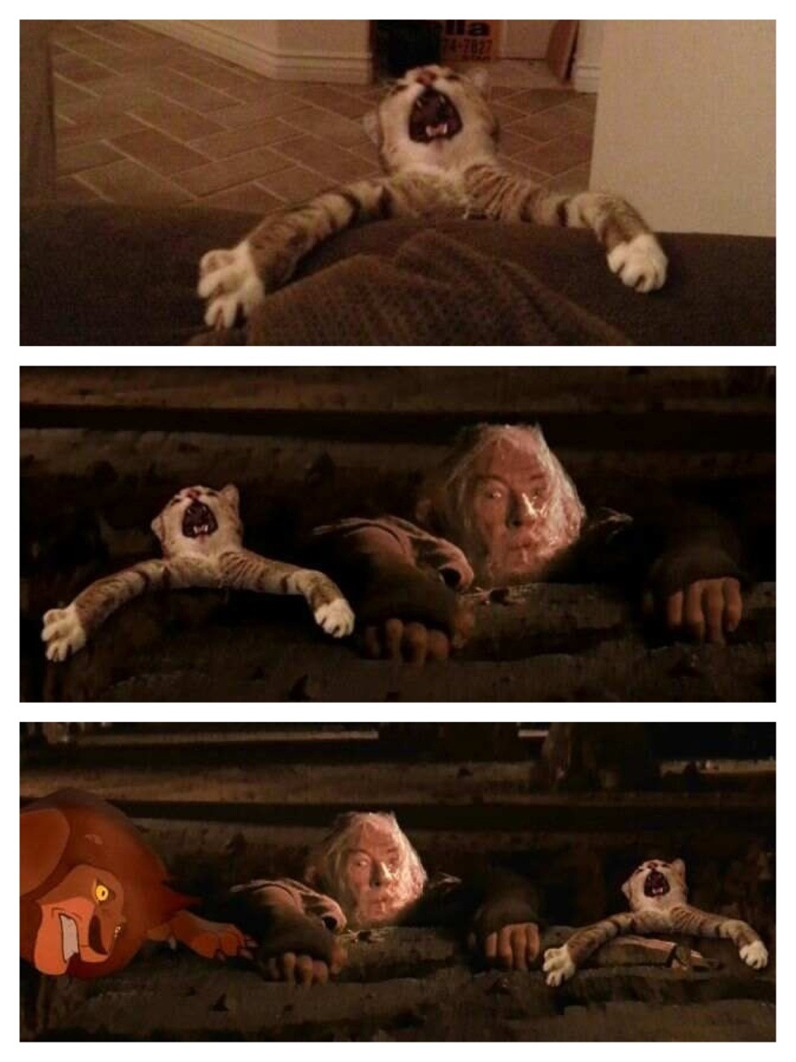 Arghhhhhhh
