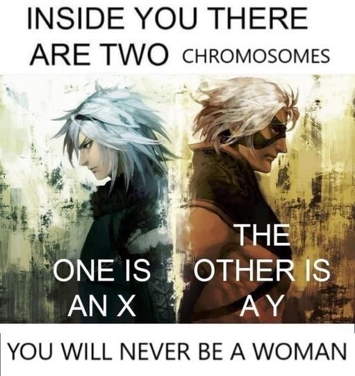 X.Y