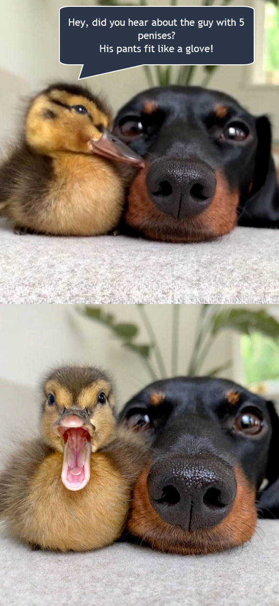 …