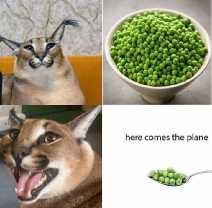 ***
