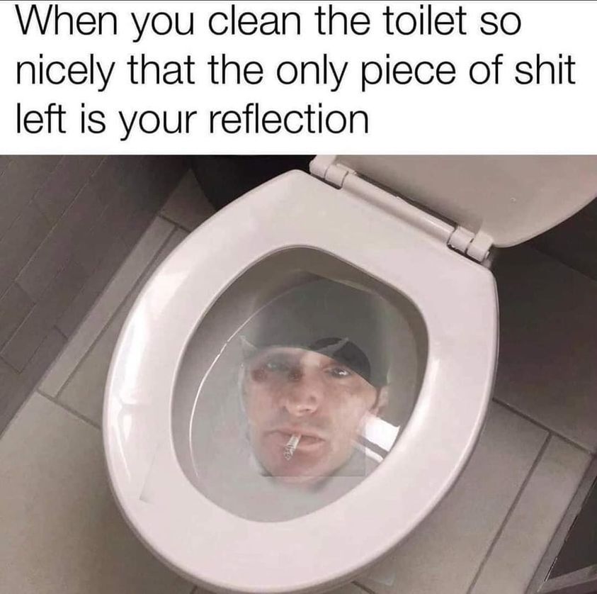 Flush sounds