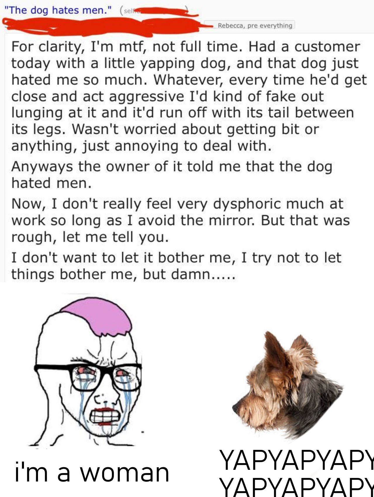 dog