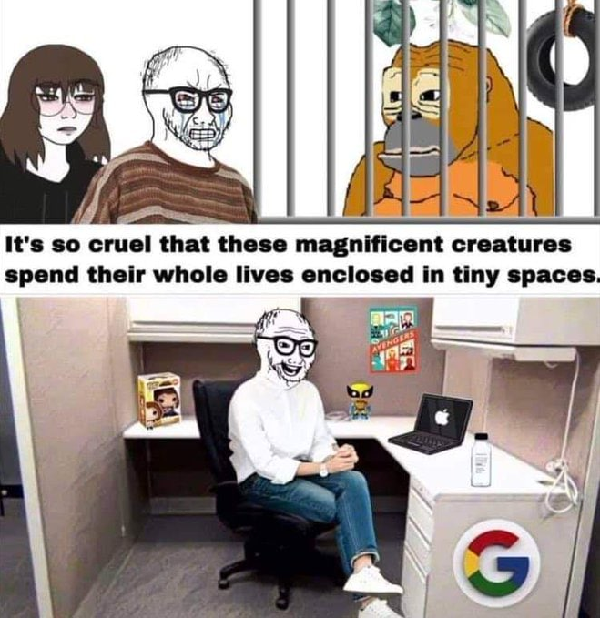 Wagecage