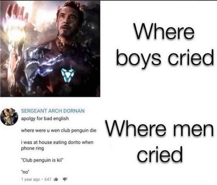lmao who cried at the end of endgame