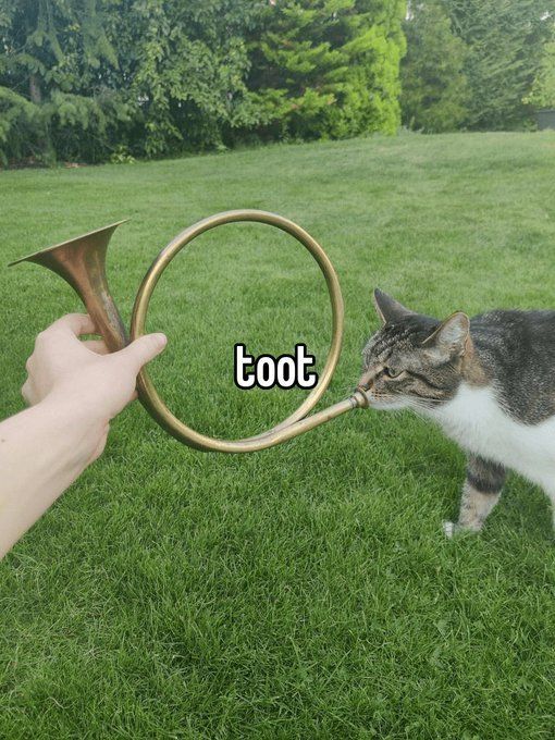 Doctor Dudders will toot when he pleases