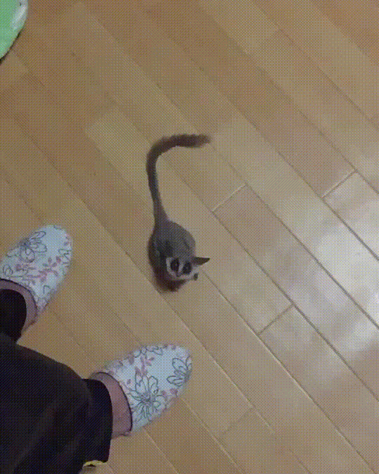 …
