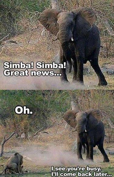 Simba and Nala getting it on