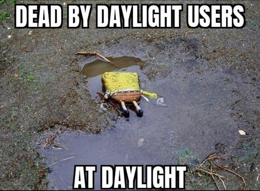 I haven't seen daylight in 3 days help