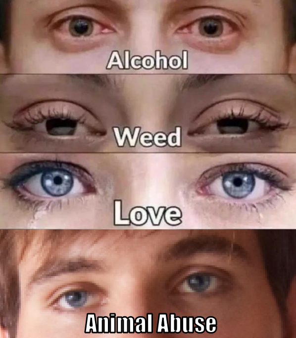 yes