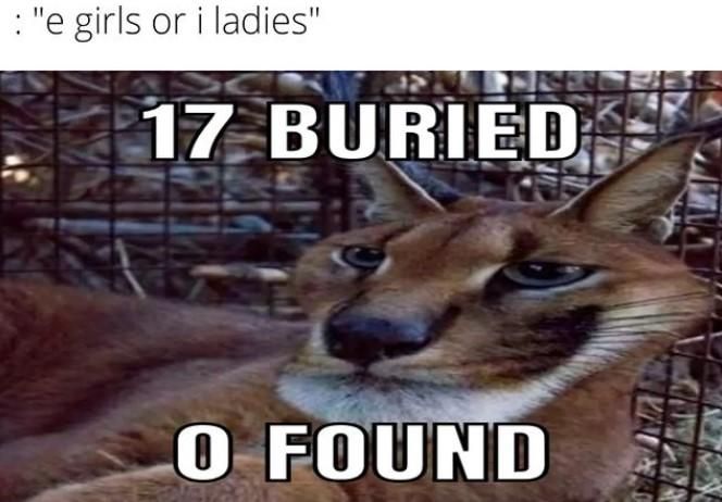 i-ladies corpses into the dumpster behind this Domino's