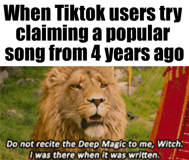 Tiktok was a mistake