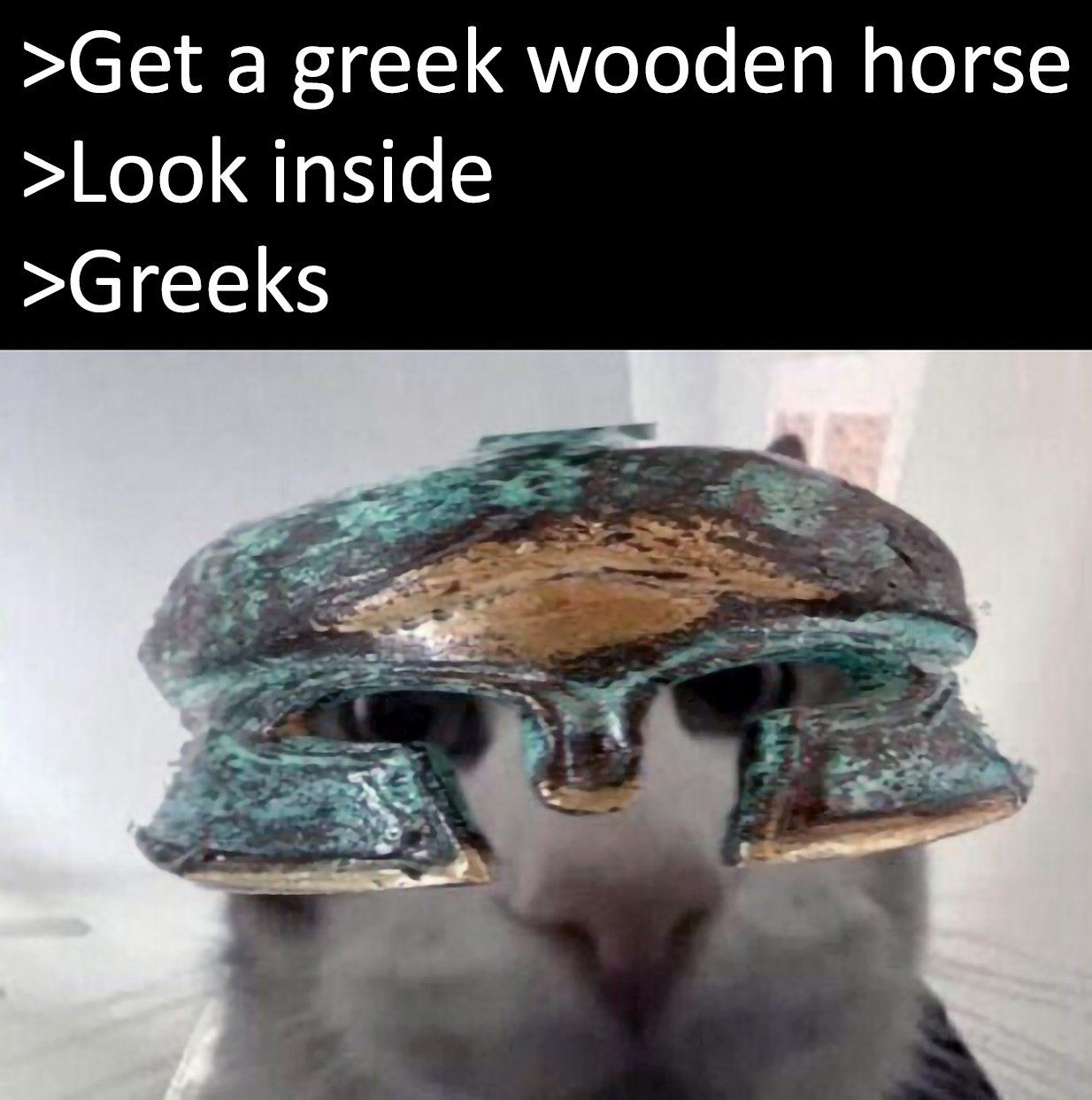 bamboozled