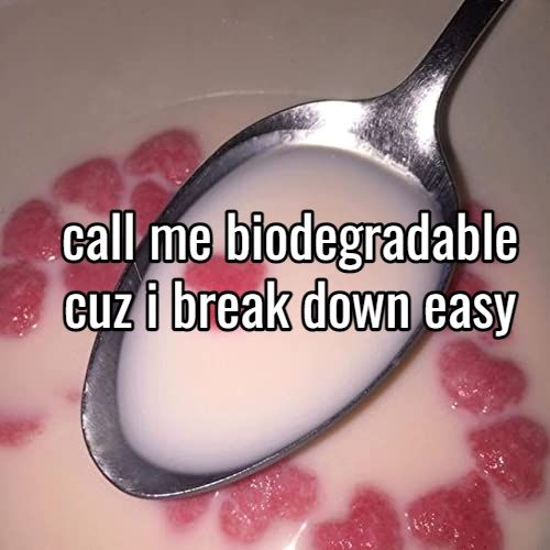 Bio