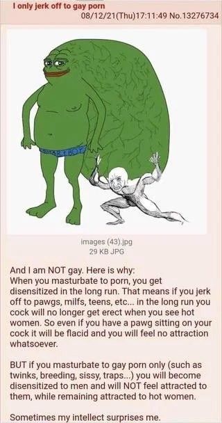 hate the homos