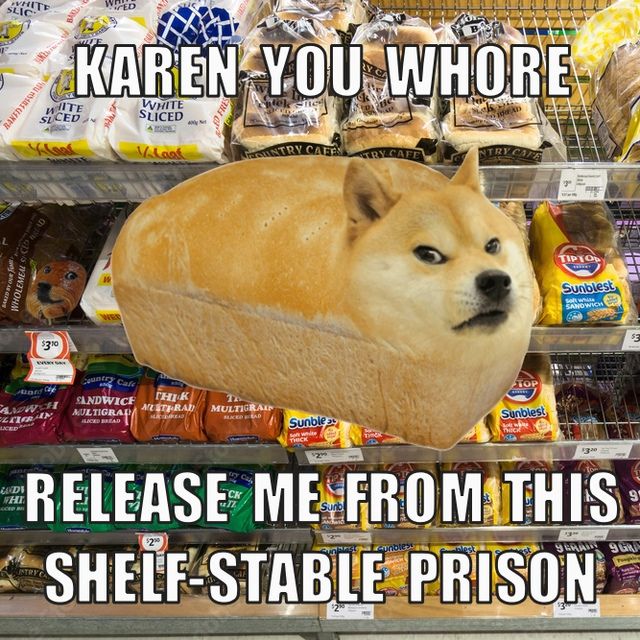dog
