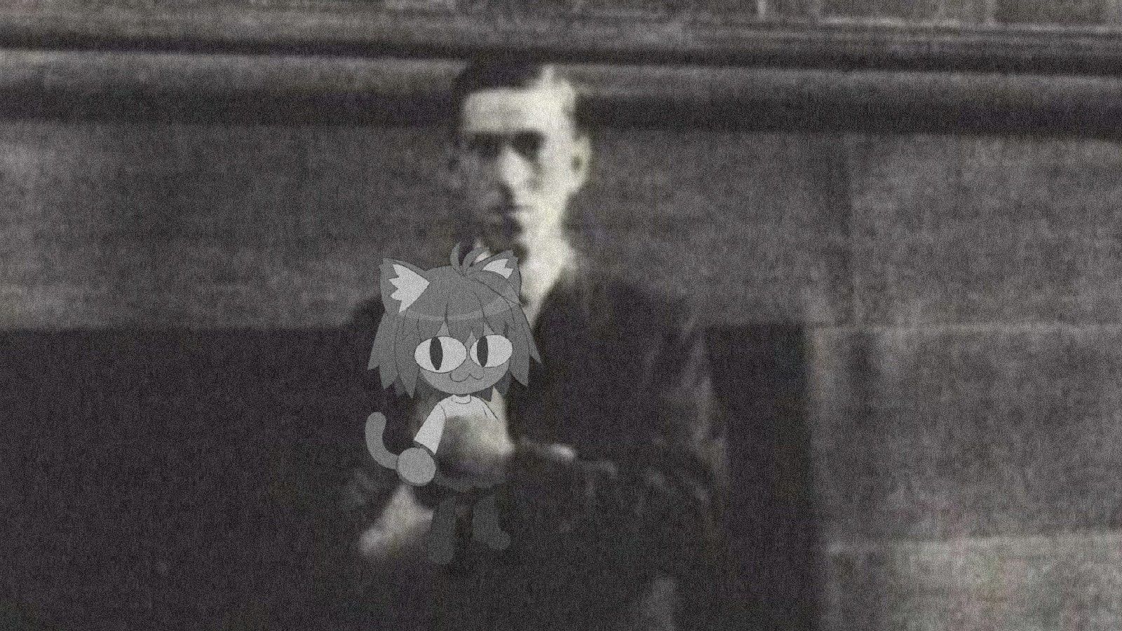 cat