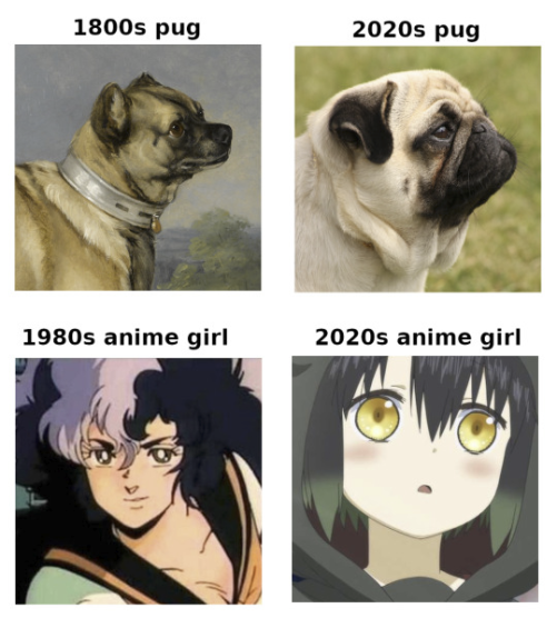 Selective breeding