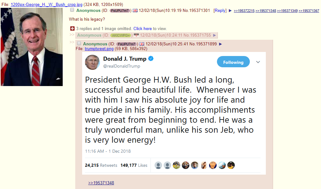 sad bush
