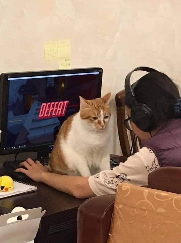 "Sorry I afked guys I was distracted by pussy"