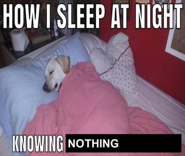 literally me