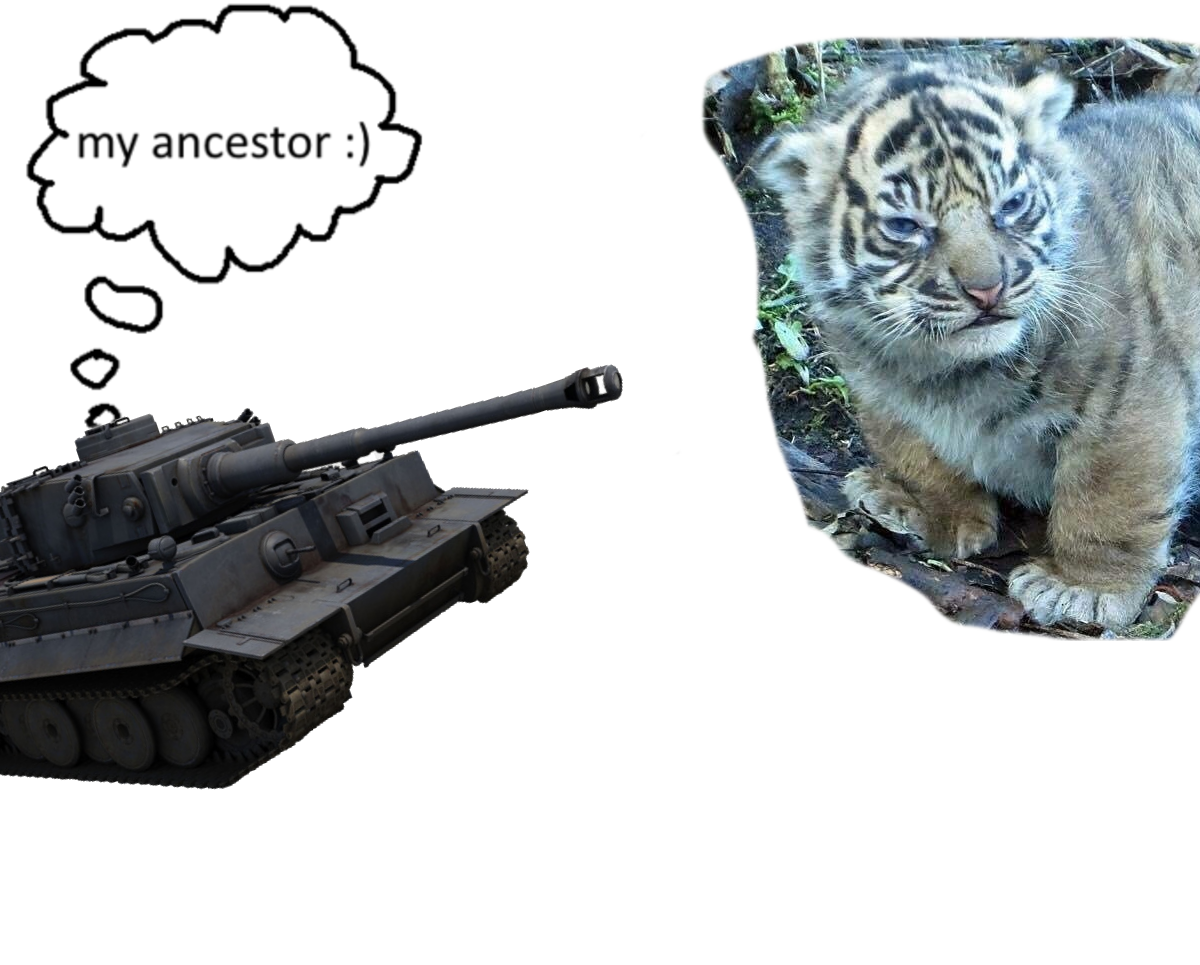 I guess the tank's model is called "little pussy" or something